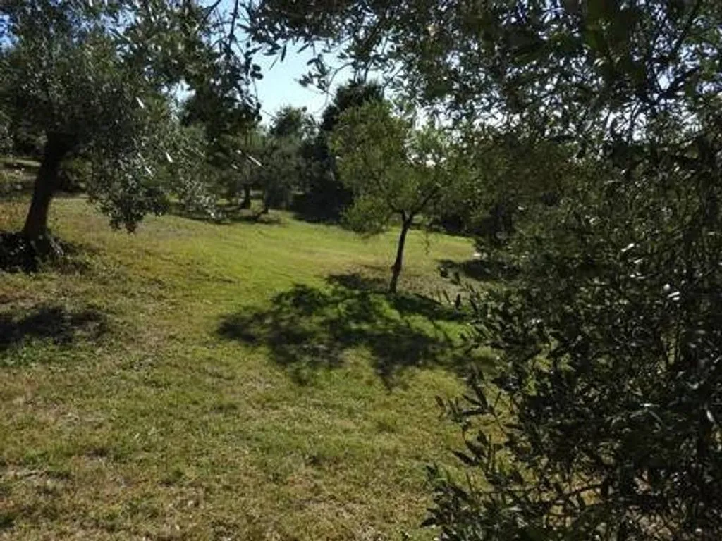 Garden - Luxury Villa with Sea View in Casale Marittimo
