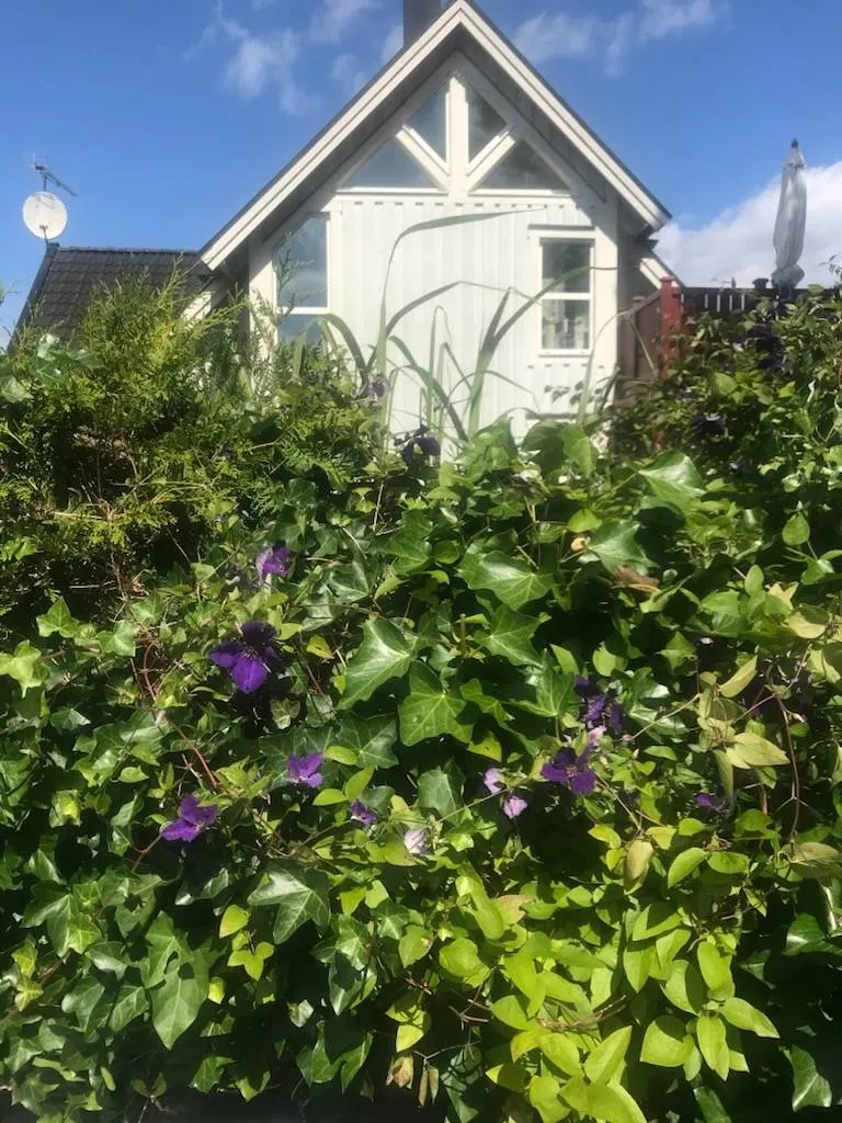 5-toaline maja asukohas Sölvesborgs kommun