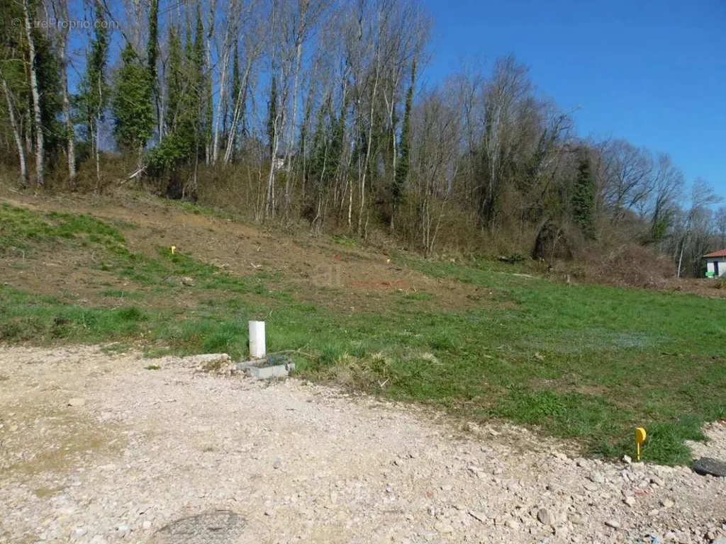 Aed - Viabilised Plot with Verdant Setting in Ain