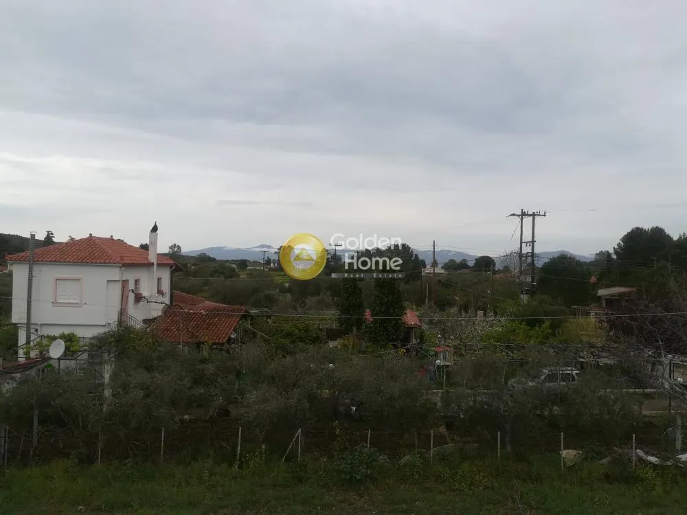 Jardin - Modern Villa with Sea View in Tragana
