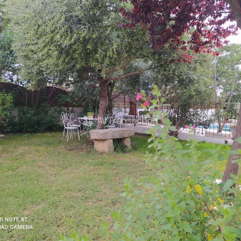 Garden - House with Pool in Moussac