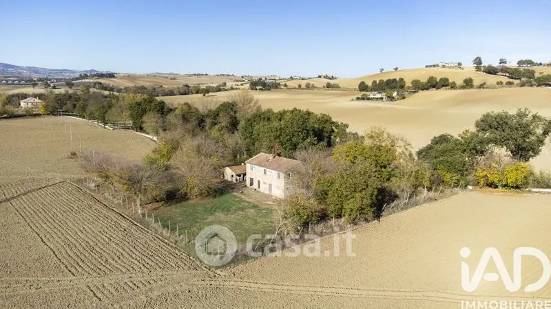Vista aerea - Traditional Rustico with Olive Trees in Appignano
