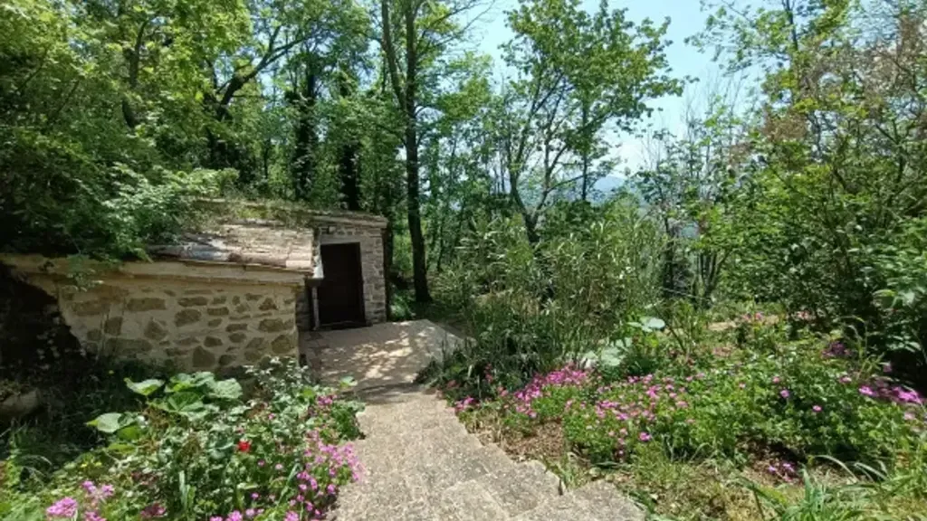 garden