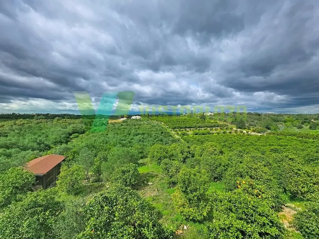Õhuvaade - Villa with Rural Setting near Silves