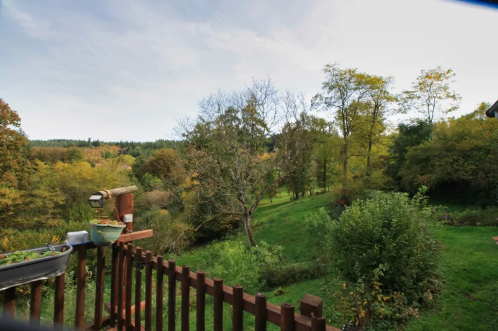 Giardino - Longère with Pool and Gite in Allier