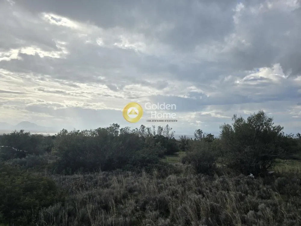 Garden - Plot with Sea View in Loutraki-Perachora