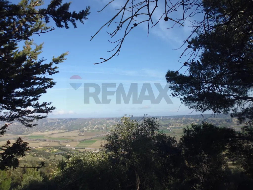 Jardin - Agricultural Land with Olive Trees in Pisticci