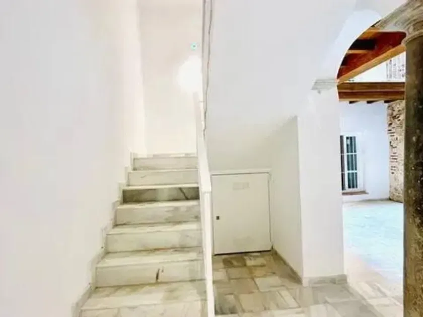 Toad - New Flat in Historic Centre, Cádiz