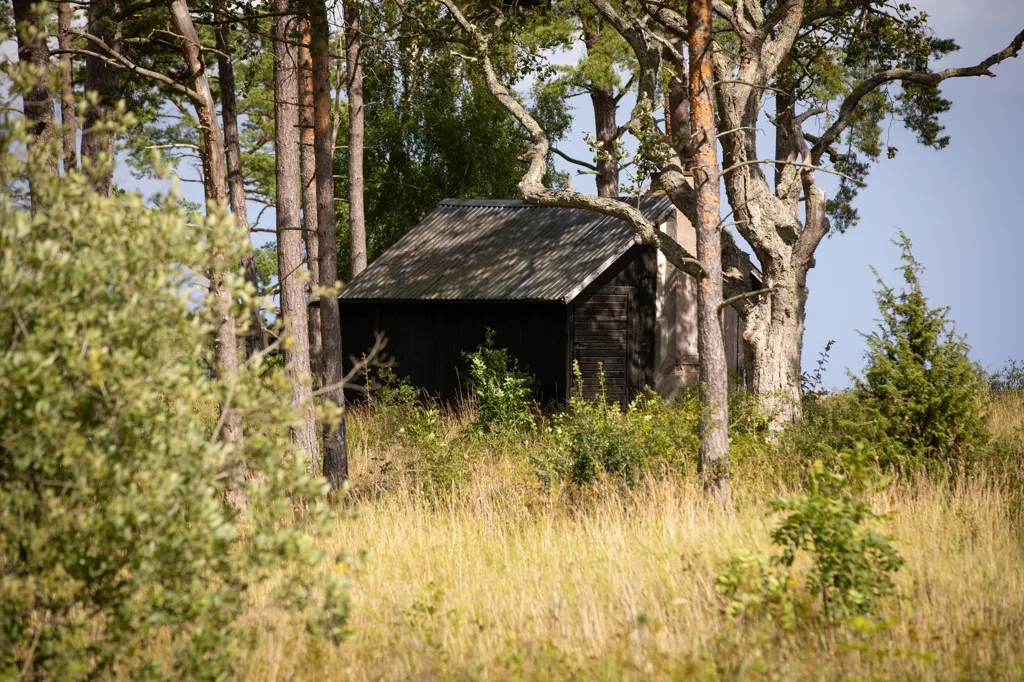 Välivaade - Plot with Sea View in Boge Friggars
