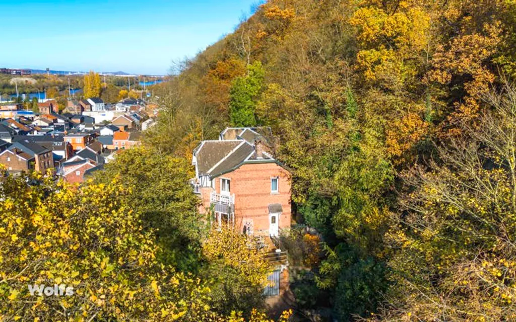 Vue aérienne - Maison de Caractère avec Terrasses à Visé