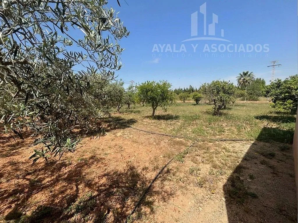 Aed - Rustic Finca with A/C in La Aljorra