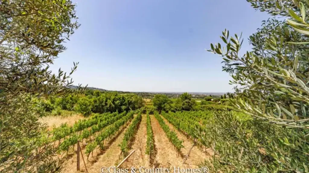 Jardin - Historic Villa with Two Residences in Grottaferrata