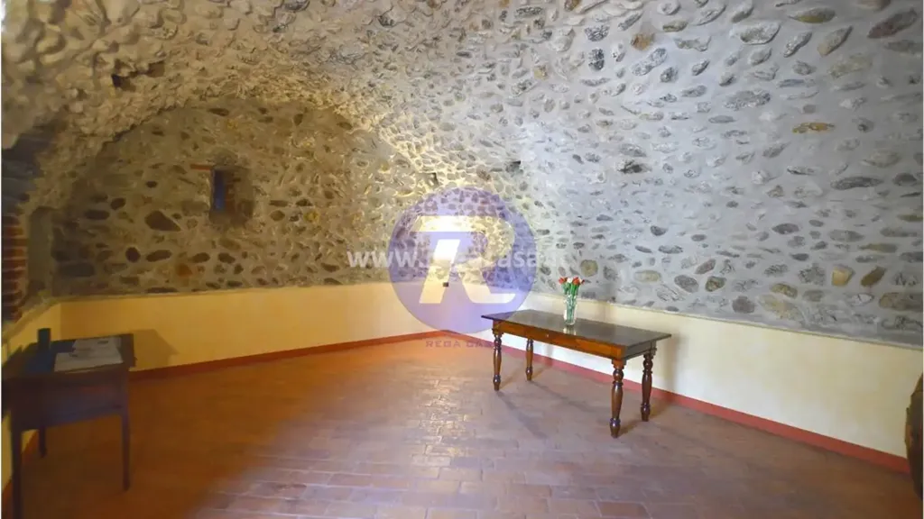 cellar