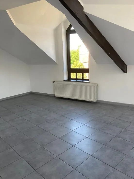 Toad - Bright Flat Near Wavre Centre