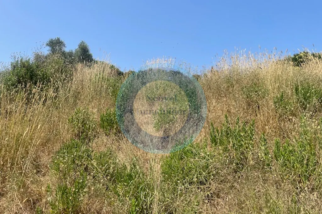 Terrain à Vallauris