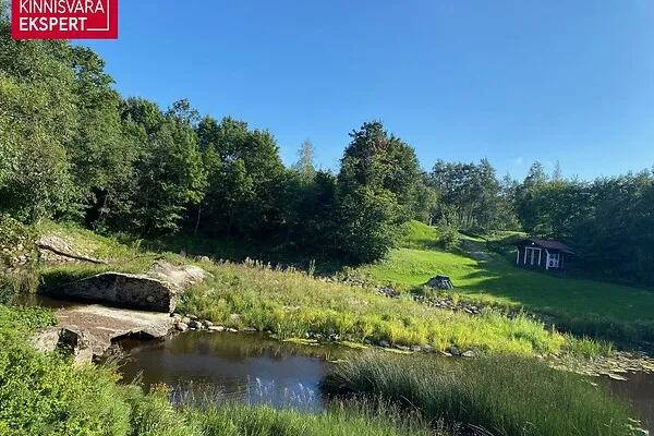 Jardin - Terrain à Tori vald
