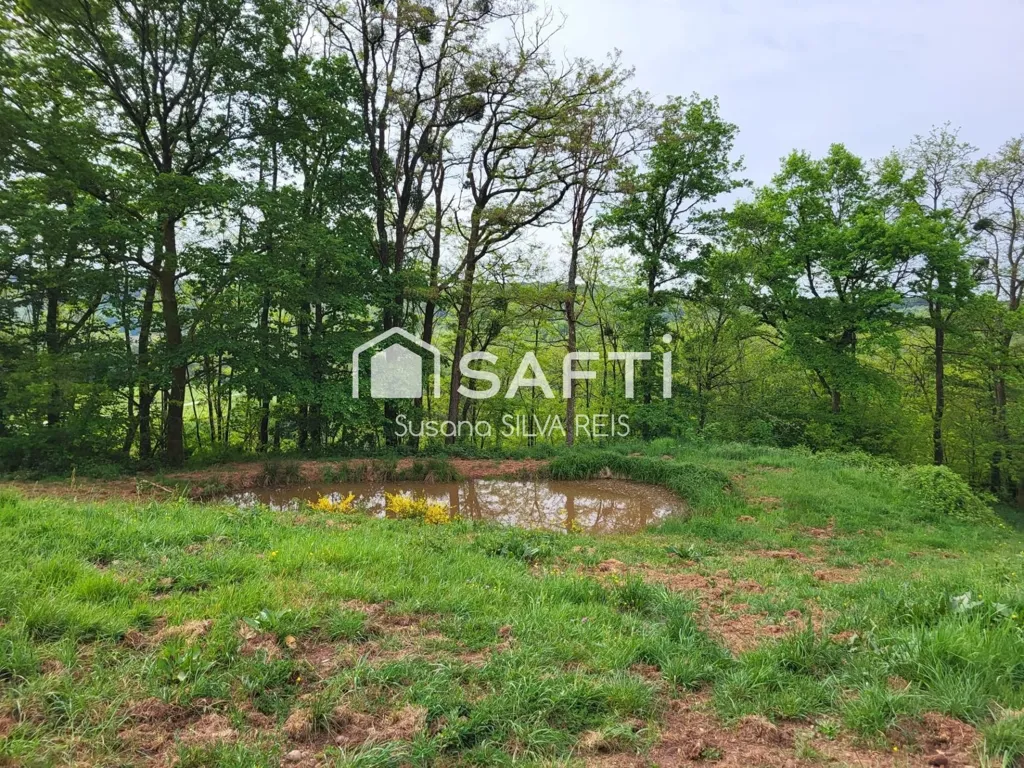 Giardino - House with Extensive Land in Ronchamp