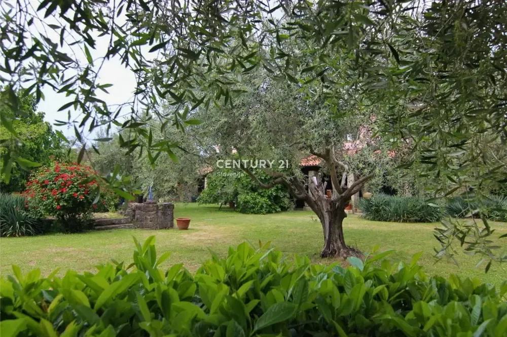 Giardino - Stone Villa with Pool in Pomjan, Koper