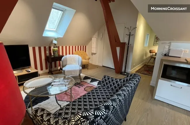 Séjour - Appartement de Charme avec Terrasse dans le Centre de Tours
