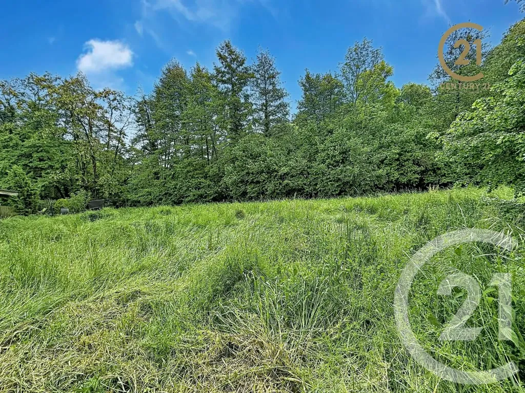 Jardin - Maison Ancienne Ferme avec Grand Terrain à Thurins