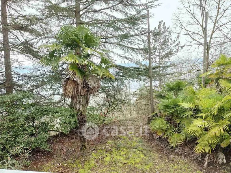 Jardin - Panoramic Villa with Terraces in Villa San Secondo