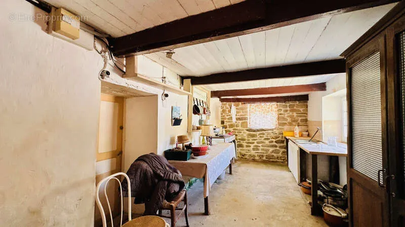 Kitchen - Rare Farmhouse with 20 Hectares in CAST