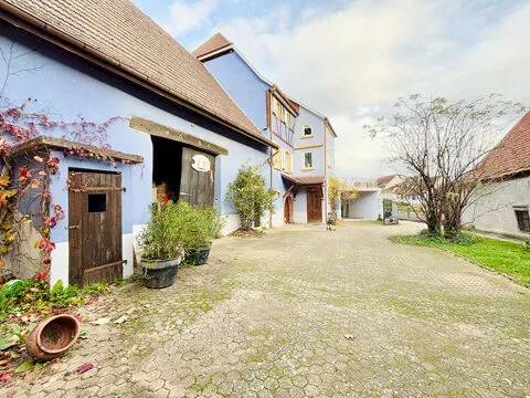 Jardin - Maison 10 pièces à Hattstatt