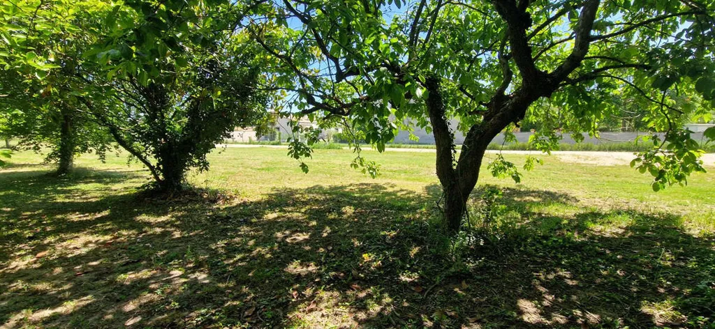 Aed - Constructible Plot with Orchard in Mondragon