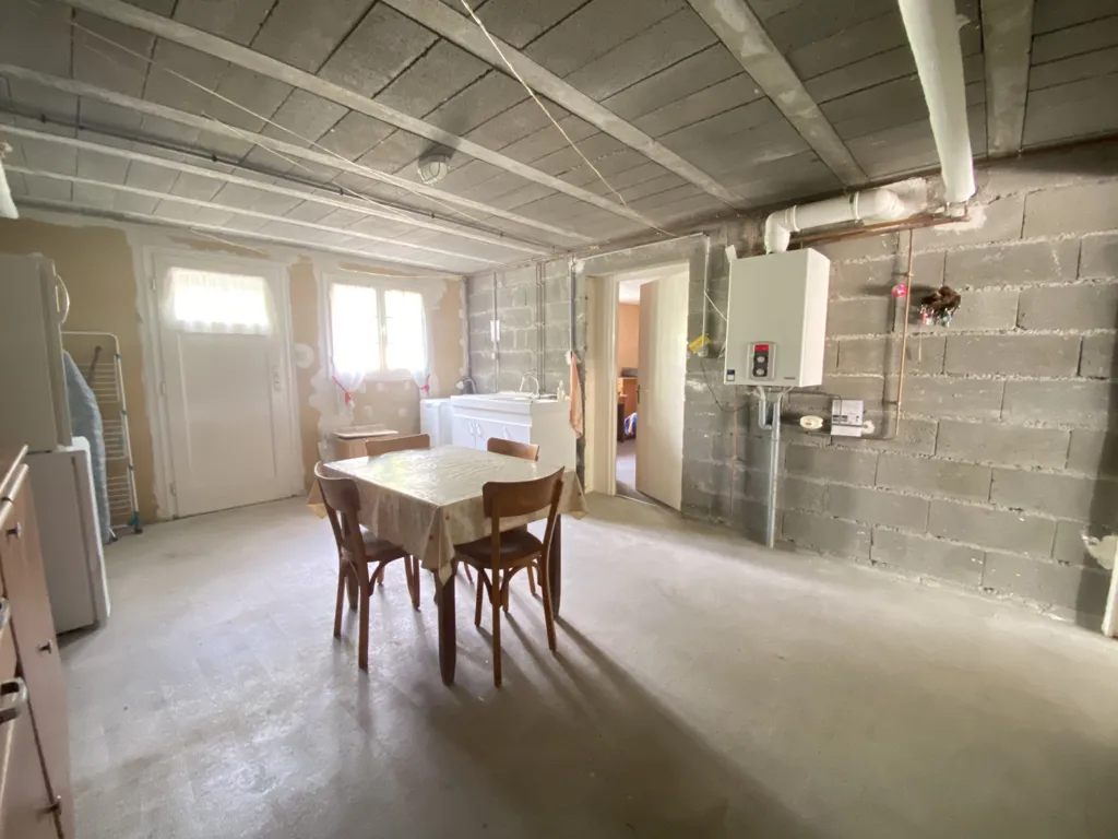 Toad - House with Garden and Basement in Saumur