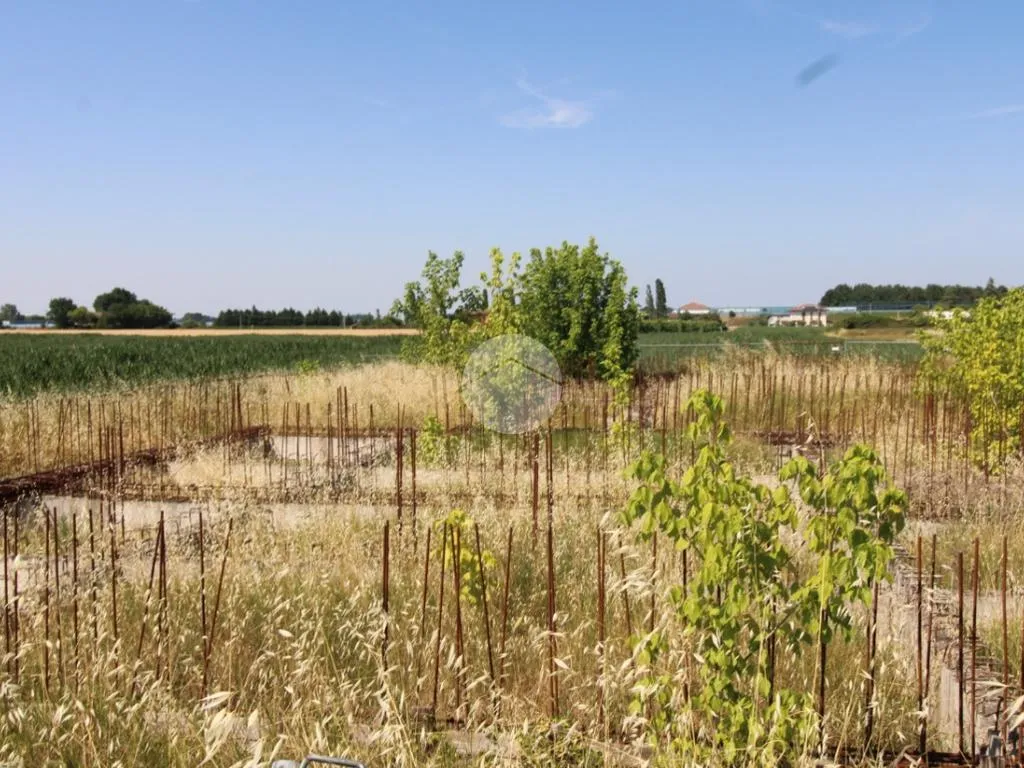 Giardino - Residential Plot with Building Potential in Bertinoro