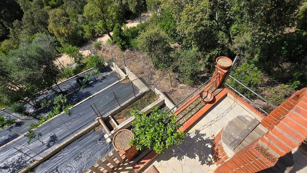 Õhuvaade - Chalet with Pool and Terrace in Lloret Blau
