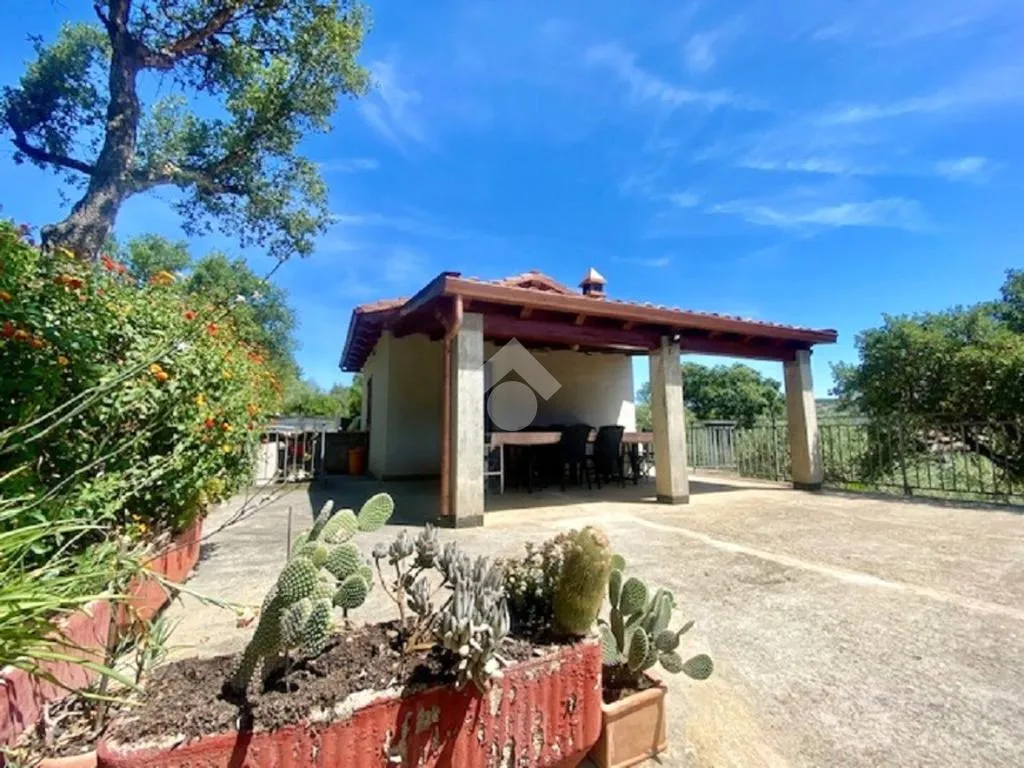 Terrazza - Rustico with Olive Grove in Alghero