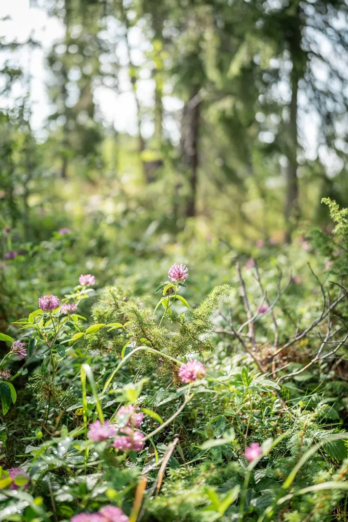 Terrain à Bergs kommun
