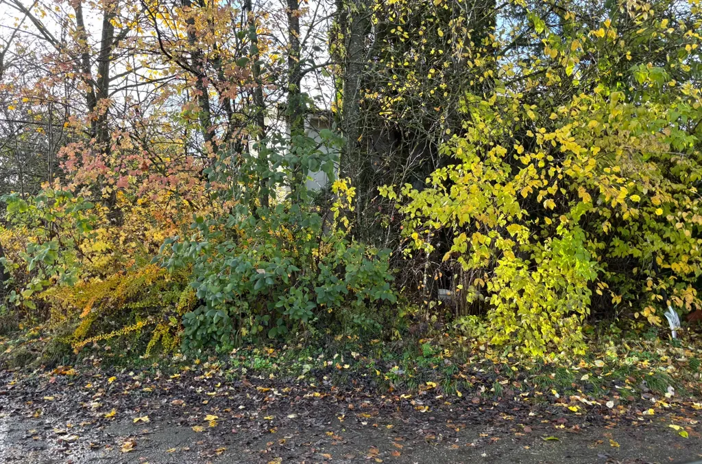 Jardin - Developed Plot with Existing House in Marieberg