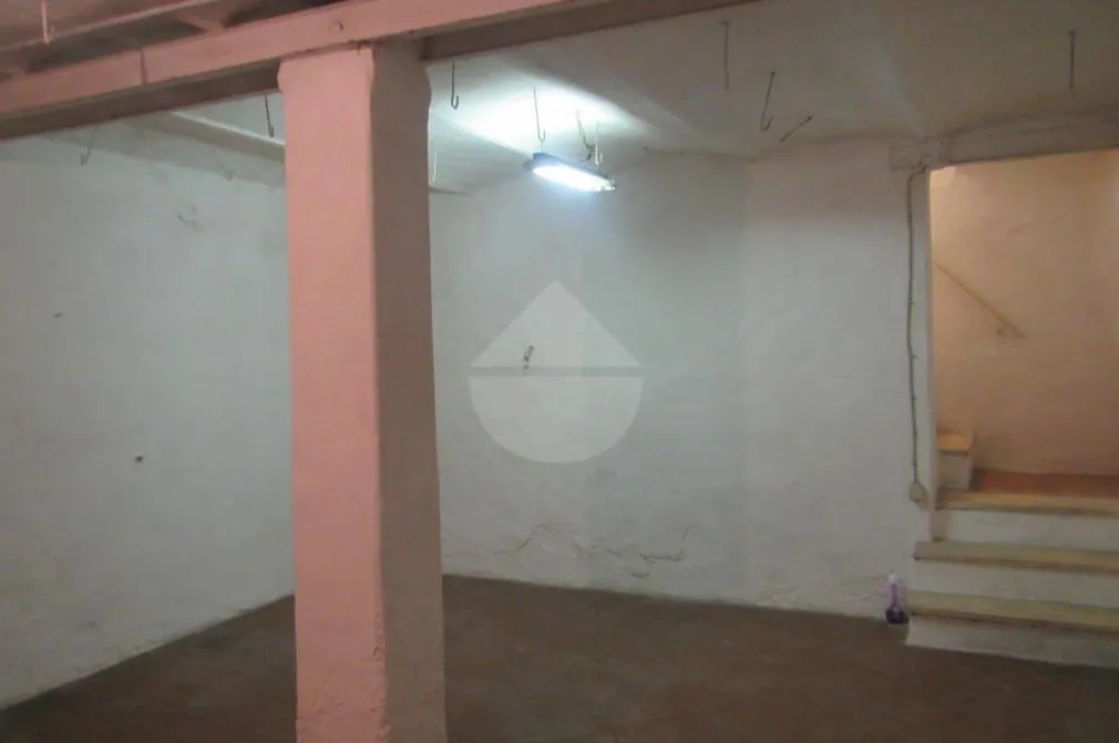 Toad - Commercial Space with 5 Vitrines in Florence Viali