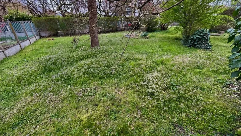 Jardin - Maison à Construire avec Jardin à Ormesson-sur-Marne