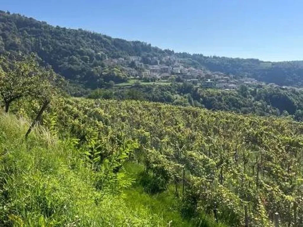 Garten - Historic Tower House with Vineyard in Negrar