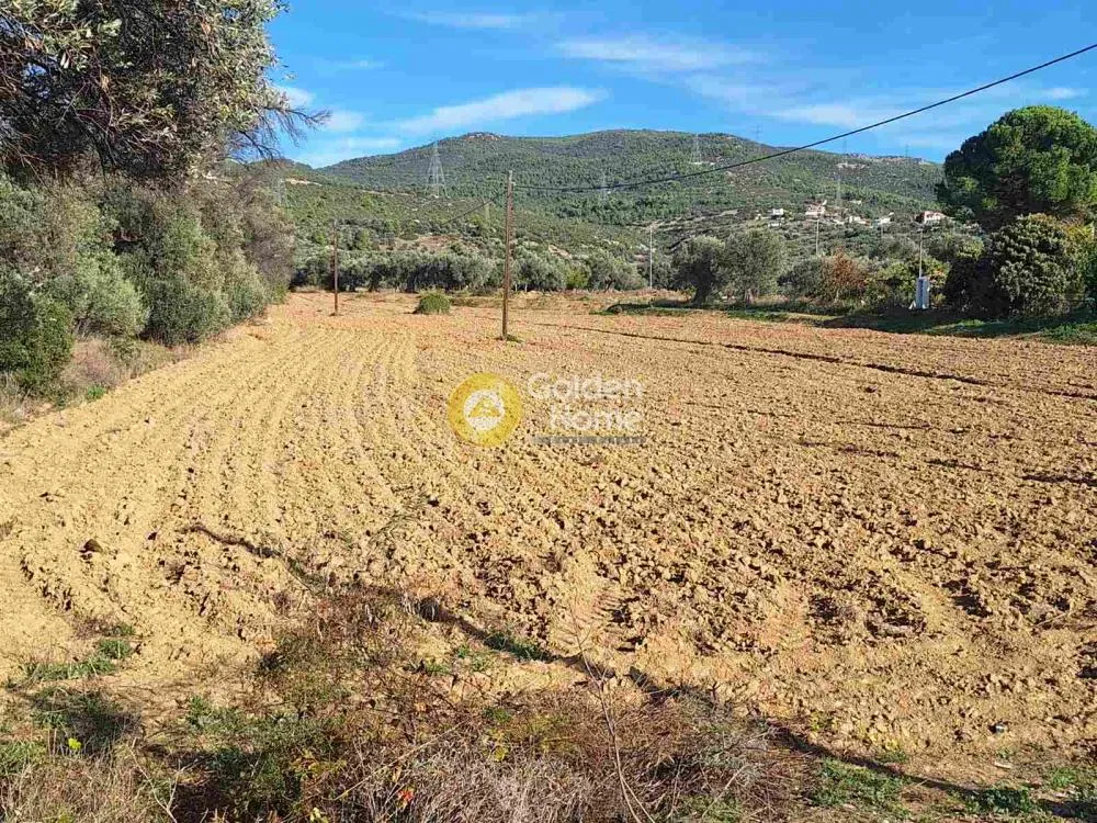 Jardin - Agricultural Plot with Unobstructed View in Chalkida