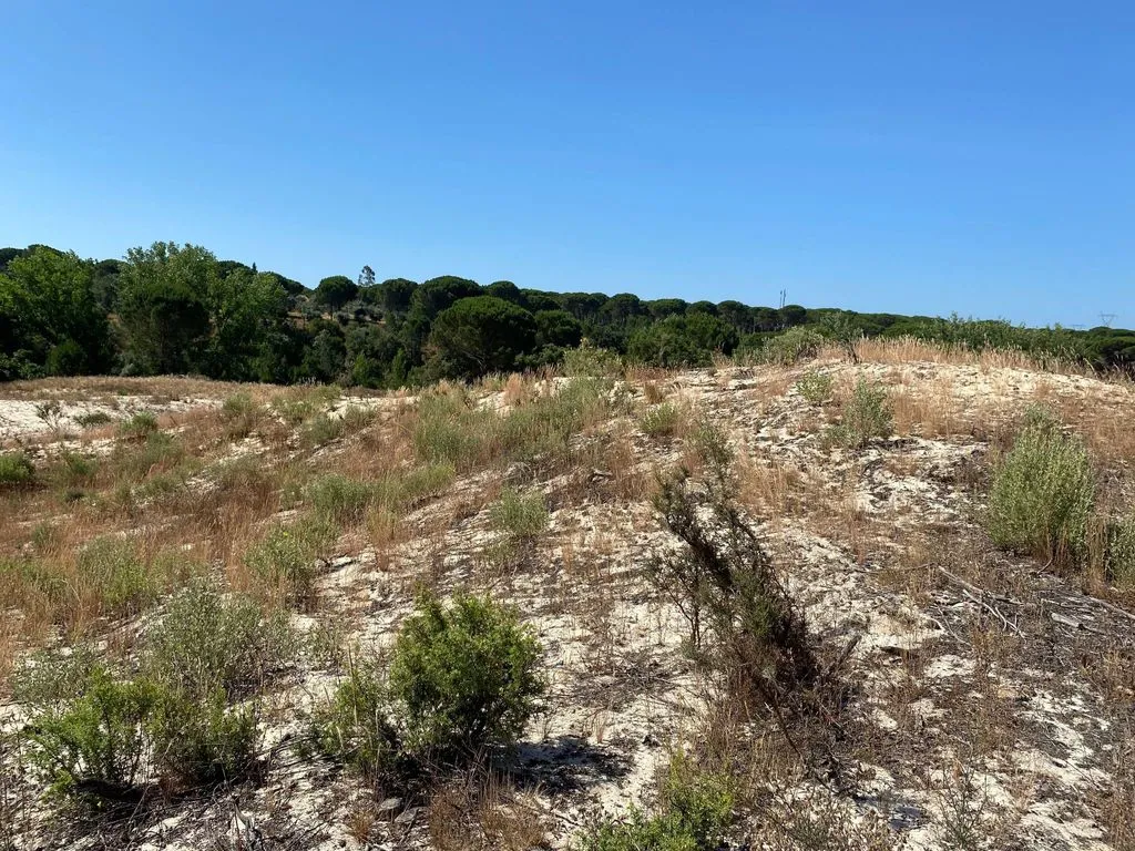 Aed - Buildable Land with Water Access near Grândola