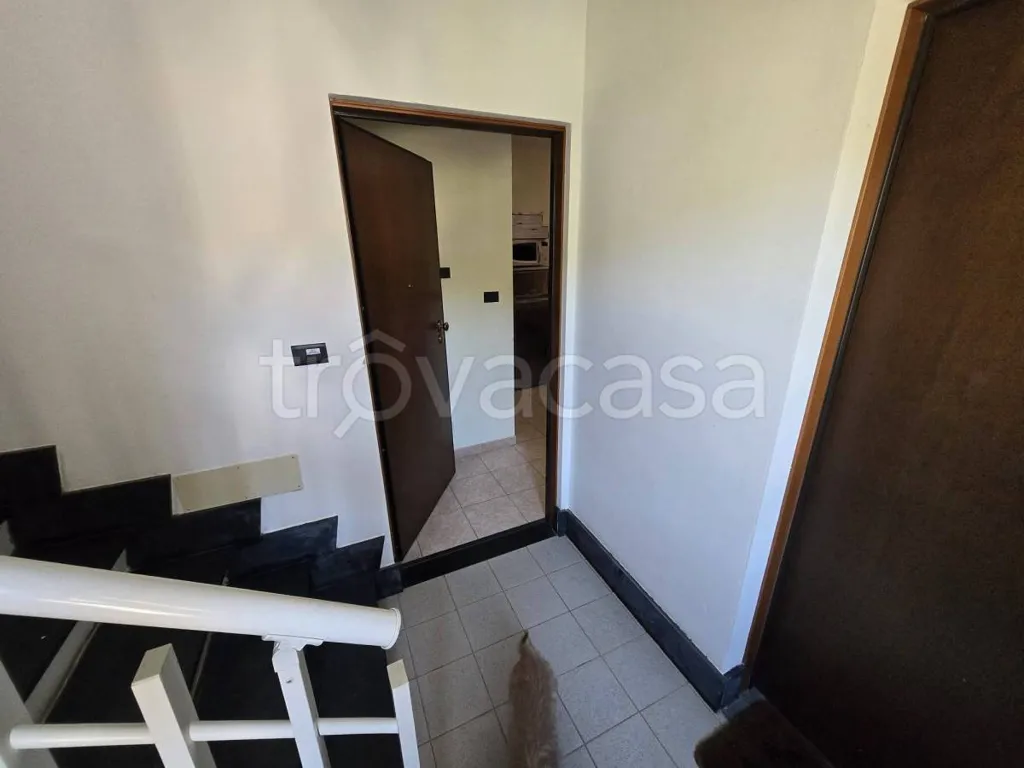 Pièces - Bungalow with Sea View in Cipressa