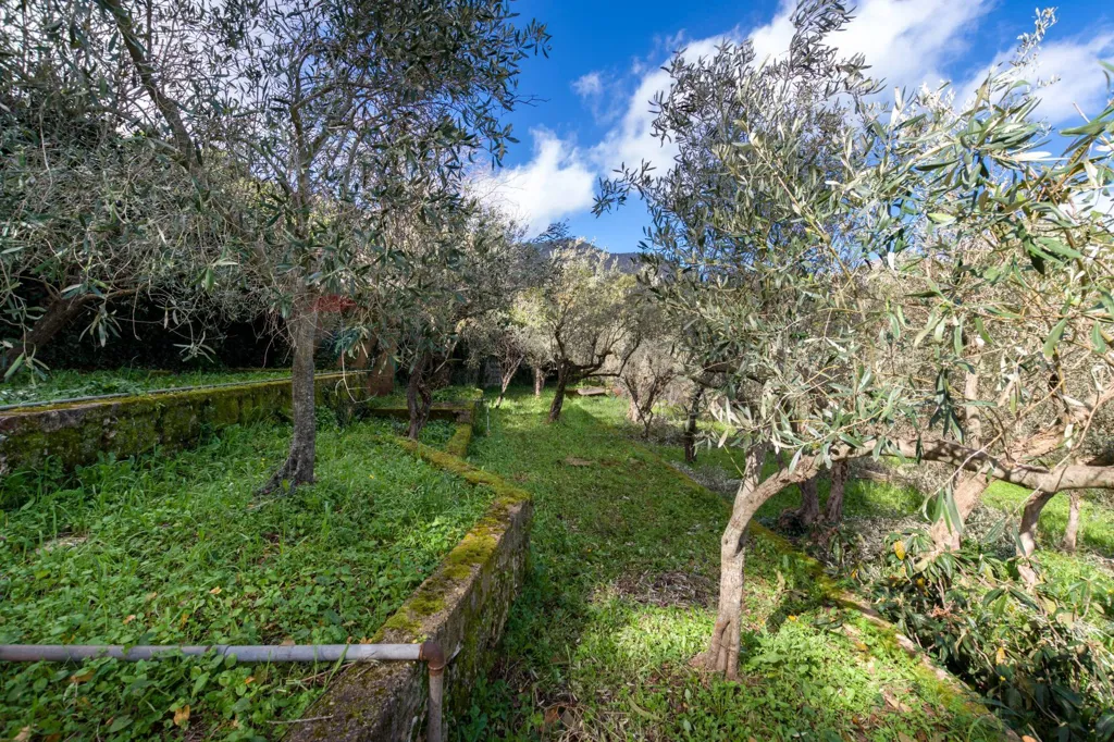 Aed - Villa with Panoramic Views in Monreale