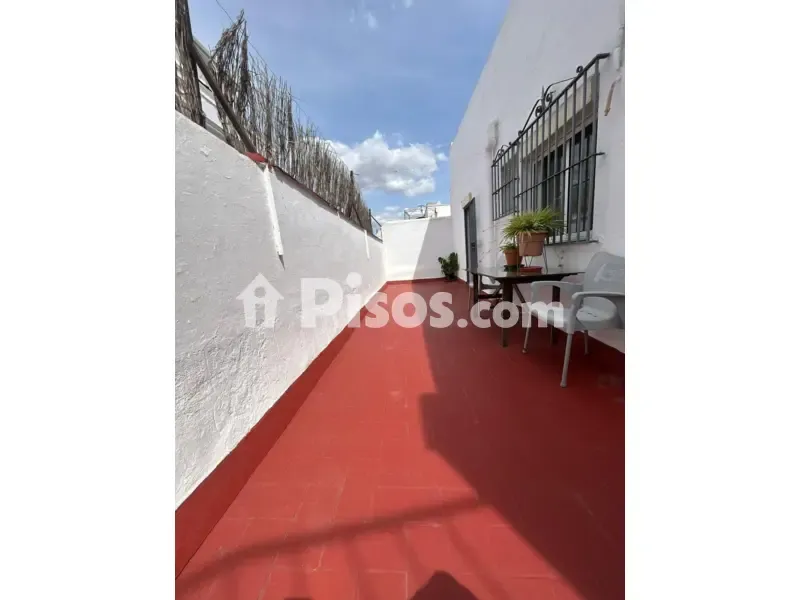 Terrass - Loft with High Ceilings in Alameda de Hércules