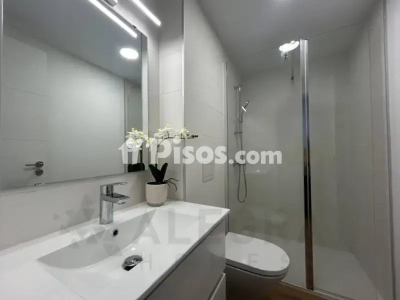 Vannitoad - Luxury Flat with Terrace and Pool in Jerez Centre