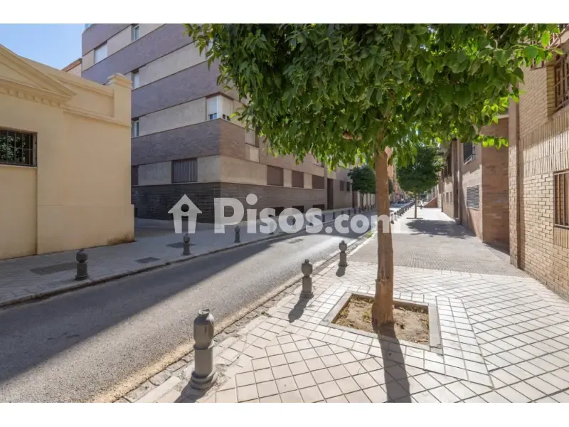Exterior - Renovated Flat with Northwest View in Alhamar