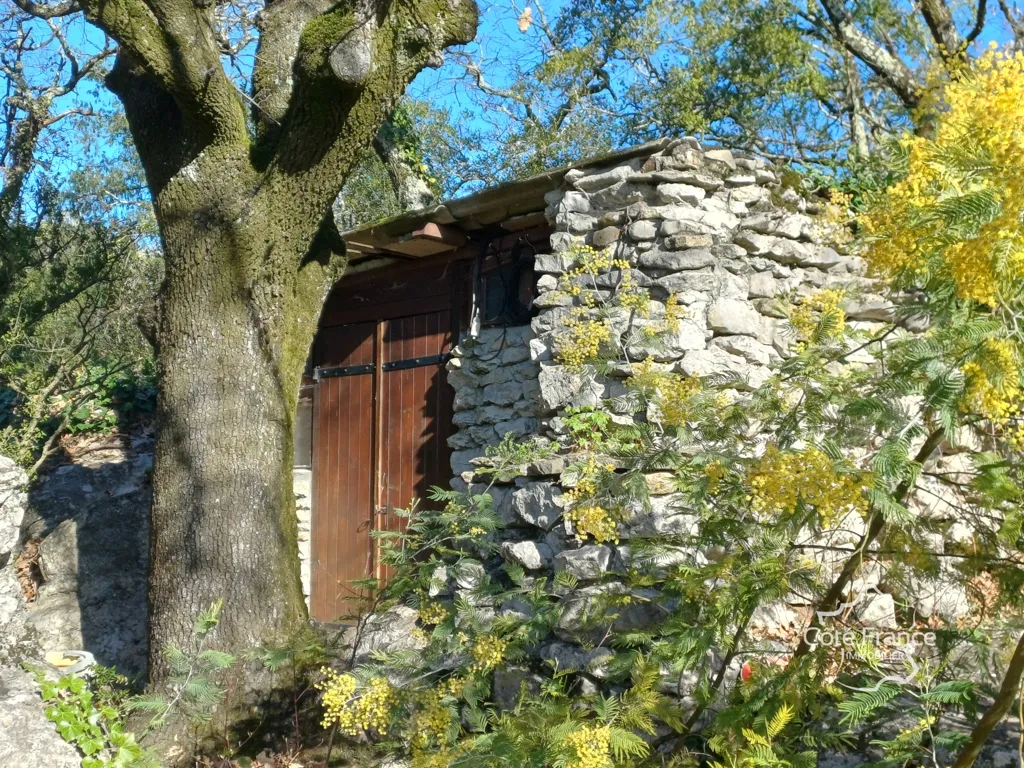 Exterior - House with Pool in Southern Ardèche