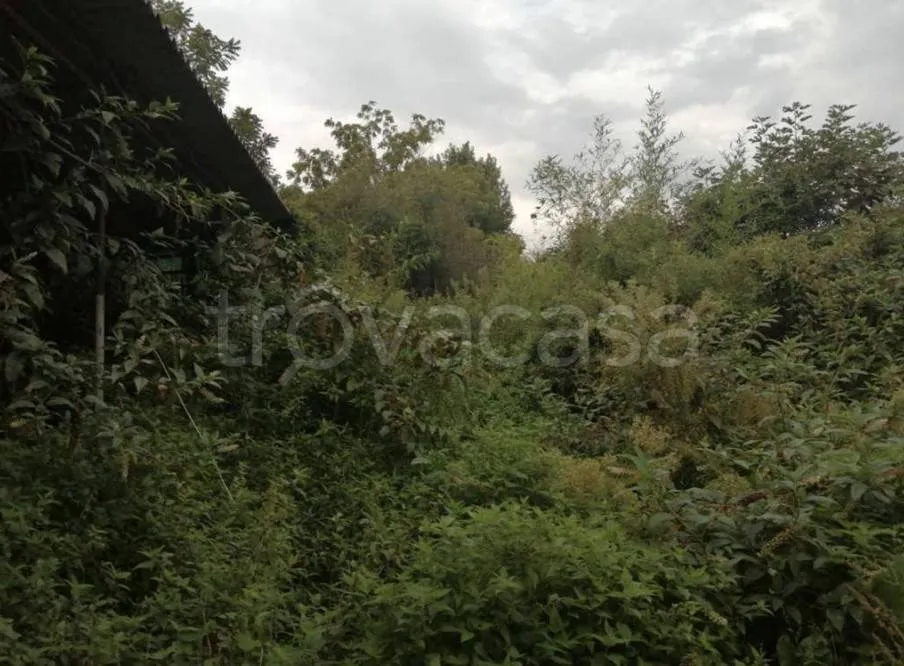 Aed - Terraced Villa with Garden in Virle Piemonte