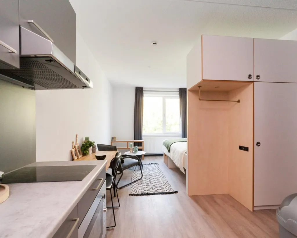Magamistoad - Student Studio with Kitchen in Breda