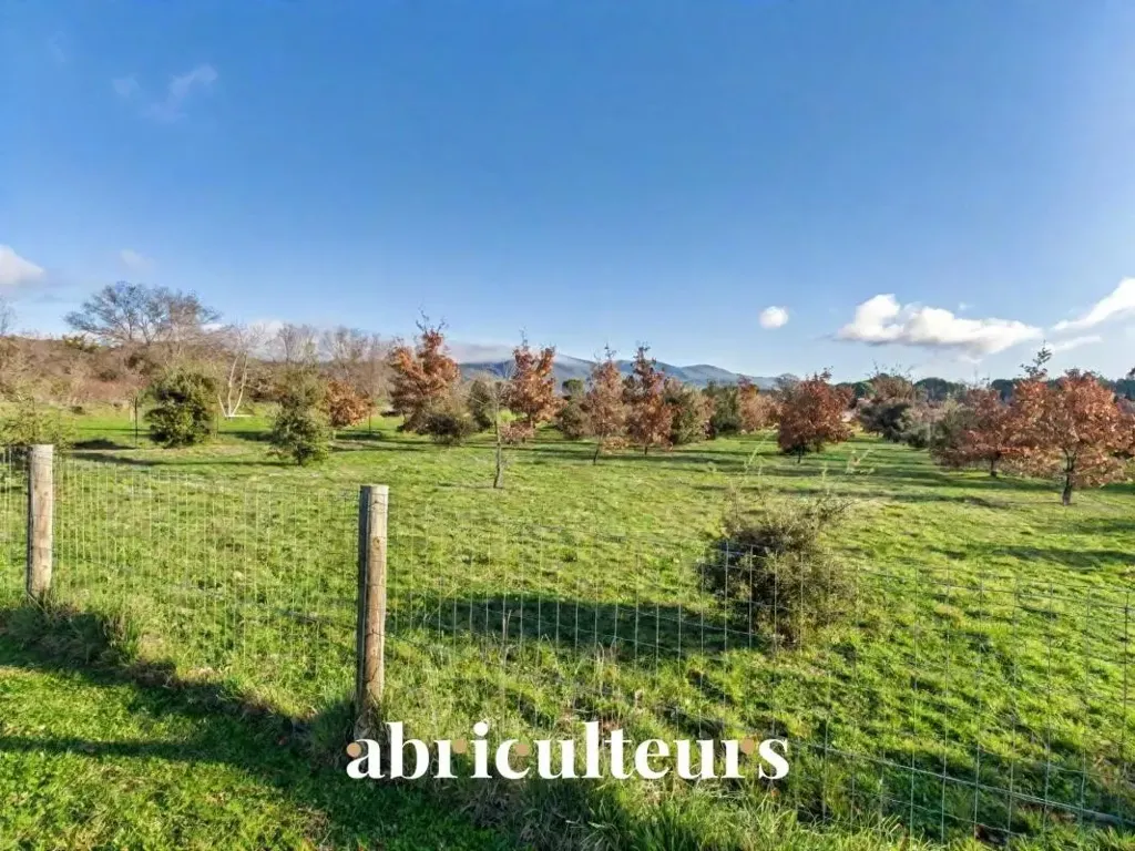 Garden - Contemporary Villa with Panoramic View in Luberon