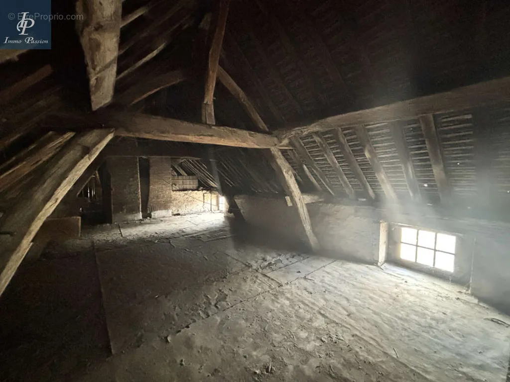 Toad - Attic Flat to Renovate in Beaune Centre