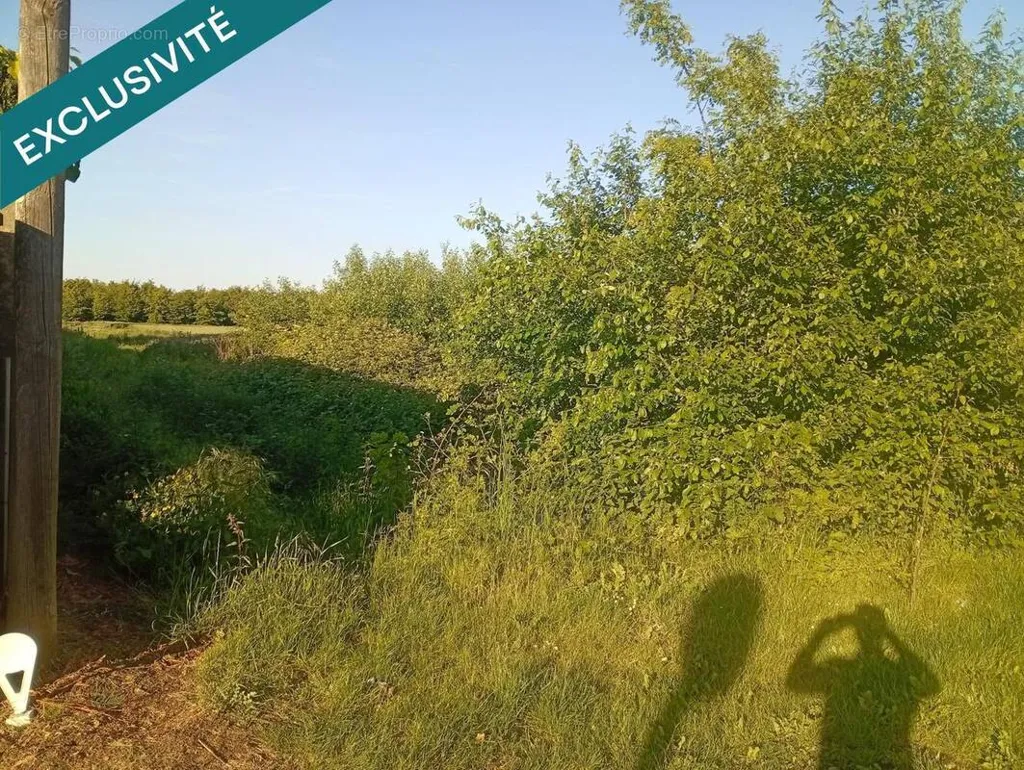 Jardin - Terrain Constructible à Fresnes-sur-Escaut
